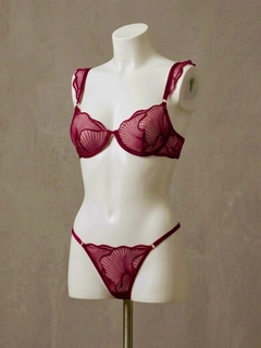 Bordo