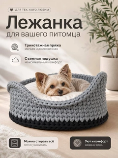 Ледяной