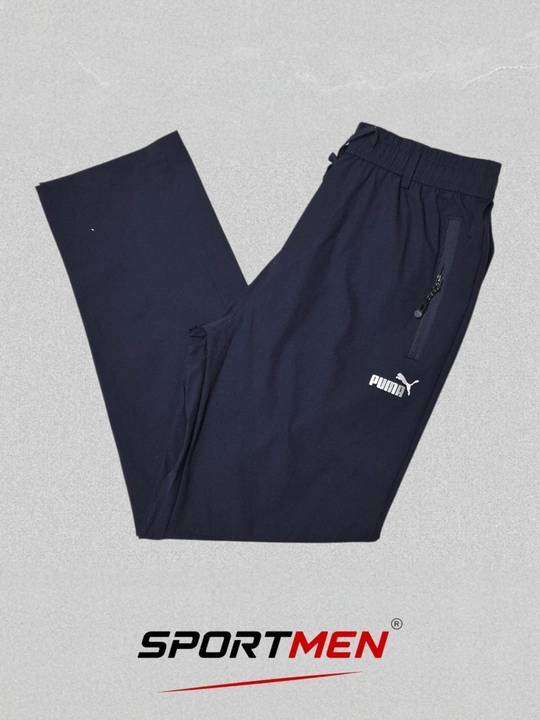 Мужские спортивные брюки Puma