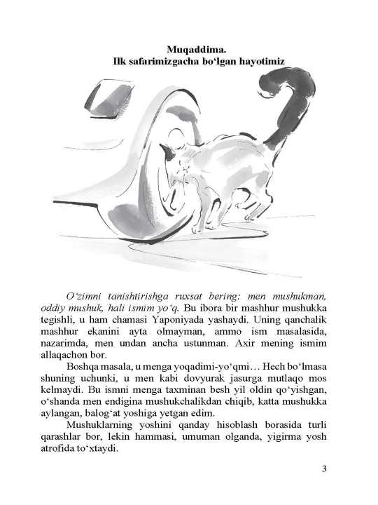 Sargardon mushuk xronikalari. Hiro Arikava