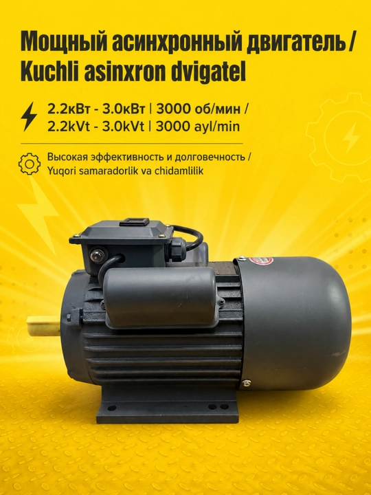 Bir fazali elektr motor MOON 3 kVt, 220 V, 3000 rpm - 