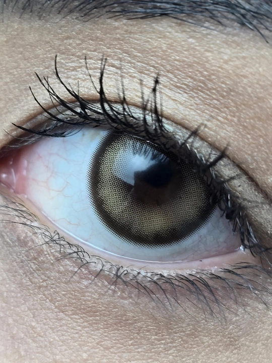 KIKO HAZEL Rangli kontakt linzalari, asal rang, BC 8.6, DIA 14.2, 12 oy