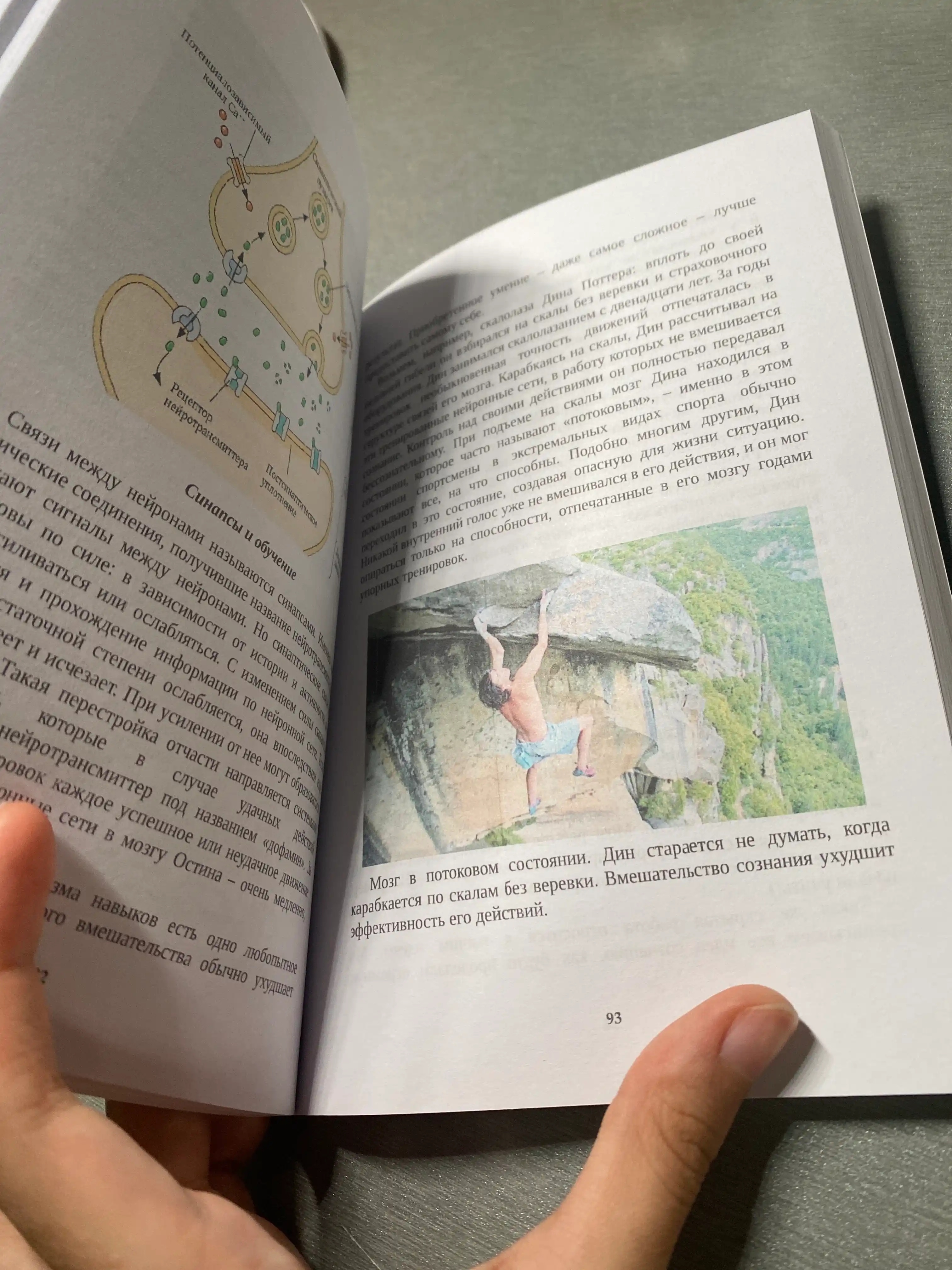 Мозг. Ваша личная история. Дэвид Иглмен