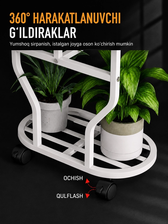 O‘simlik stendlari
