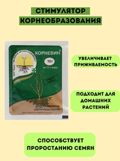 Oq