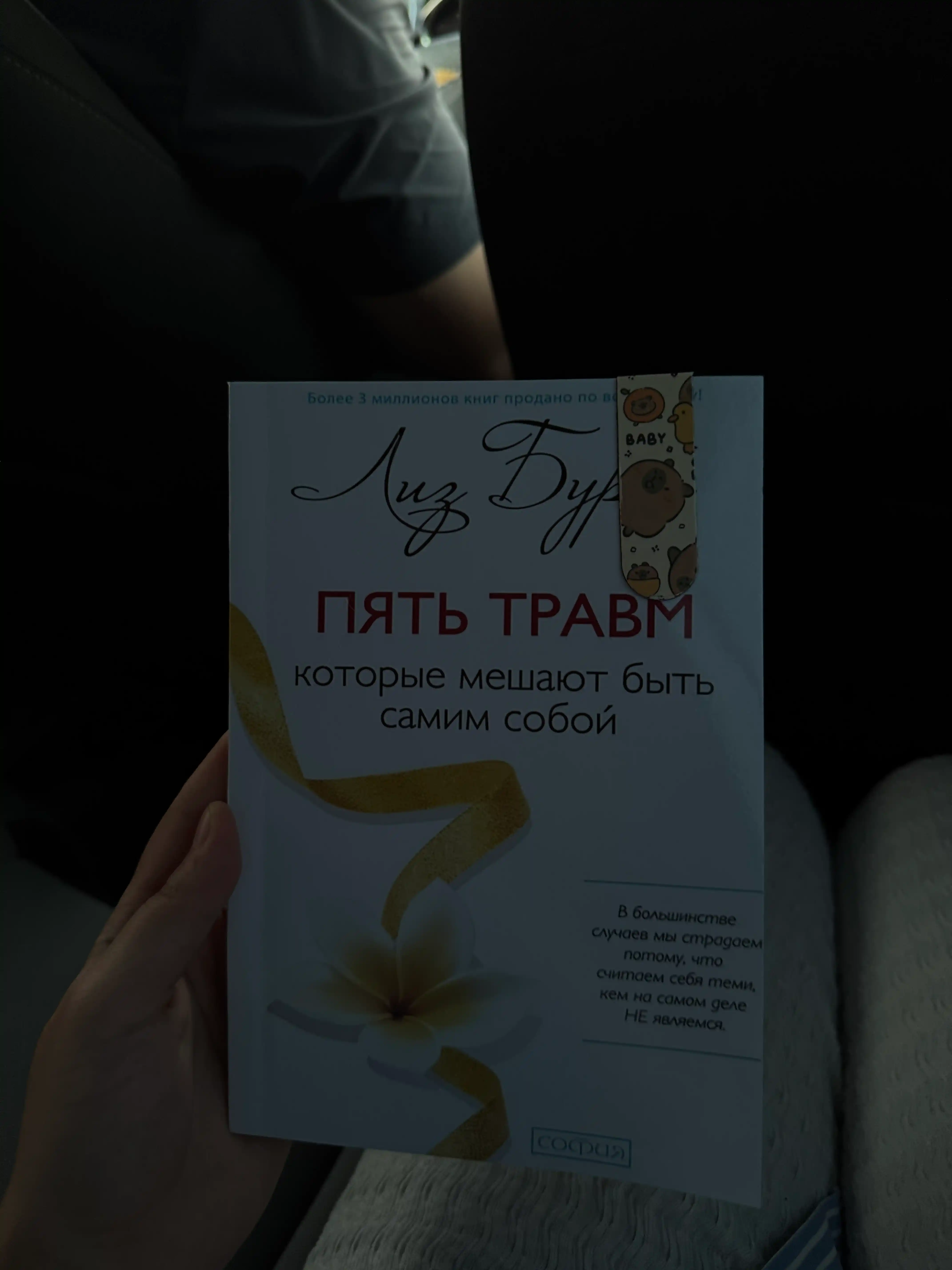 Pyat travm kotorie meshayut bit samim soboy, Liz Burbo