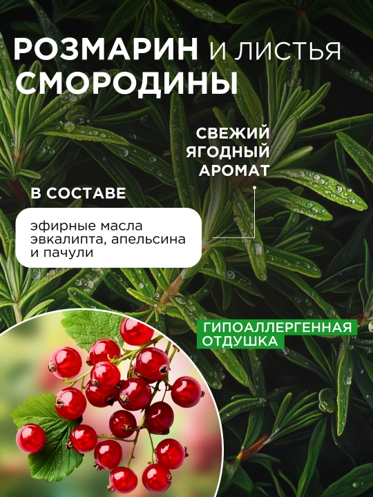 Гель-бальзам для мытья посуды и игрушек SYNERGETIC "Розмарин и листья смородины", 1 л