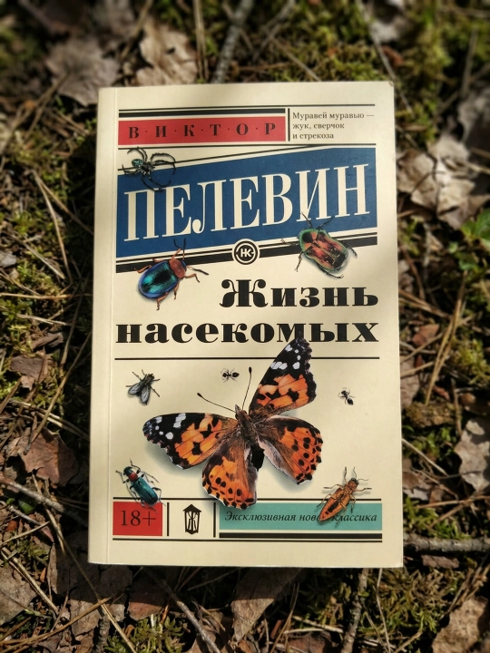Hasharotlar hayoti, Pelevin Viktor Olegovich