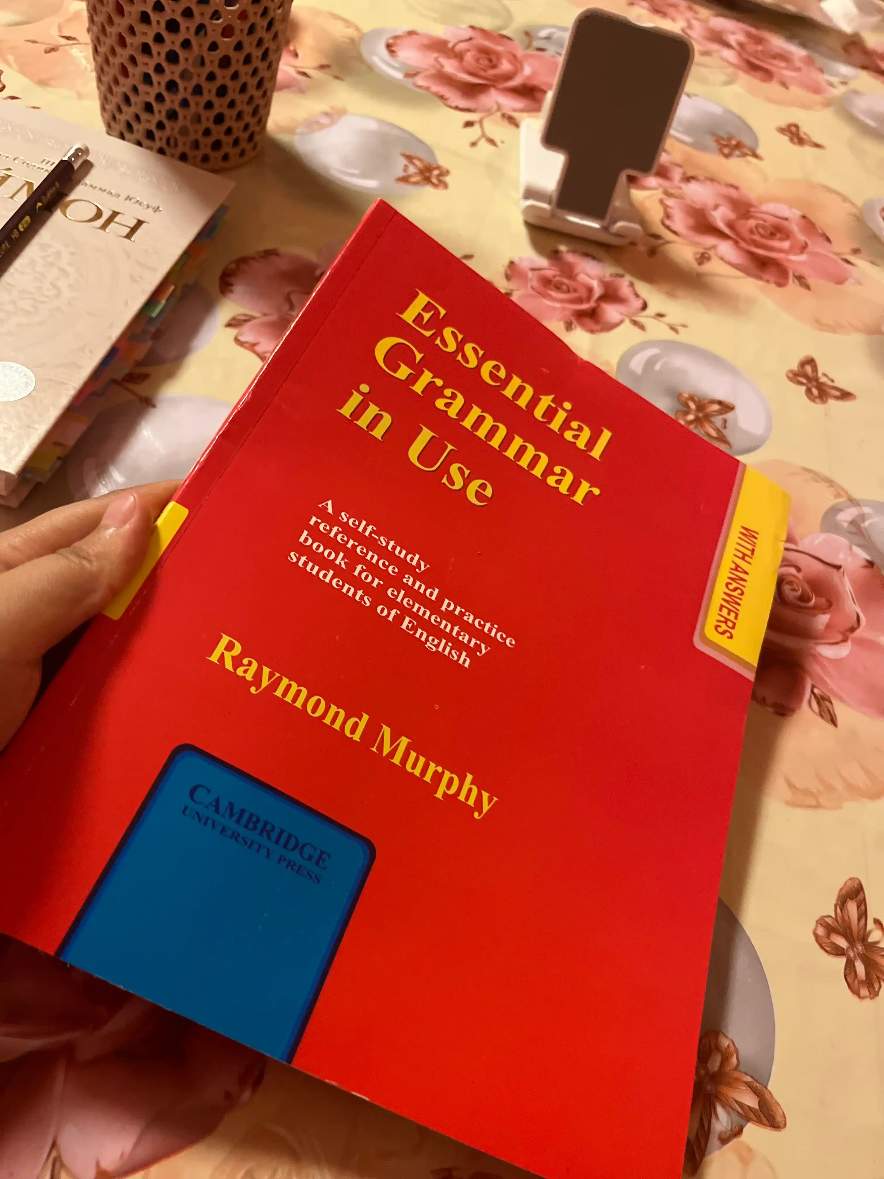Raymond Murphy, Essential Grammar in Use / English Grammar in Use