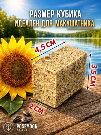 POSEYDON uni, kungaboqar keki