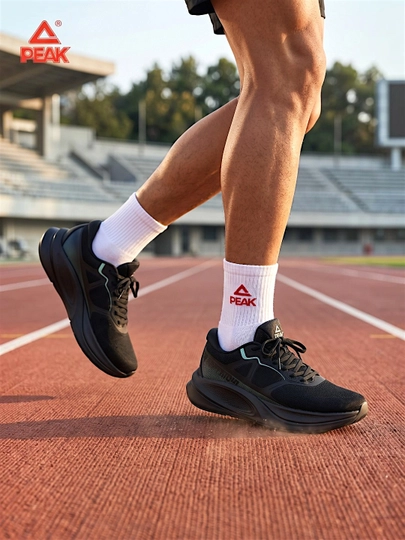 Кроссовки мужские PEAK SPORT
