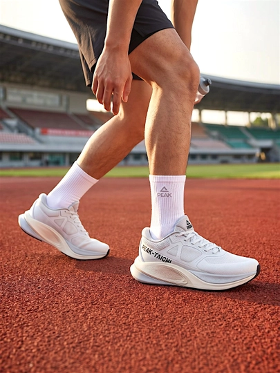 Кроссовки мужские PEAK SPORT
