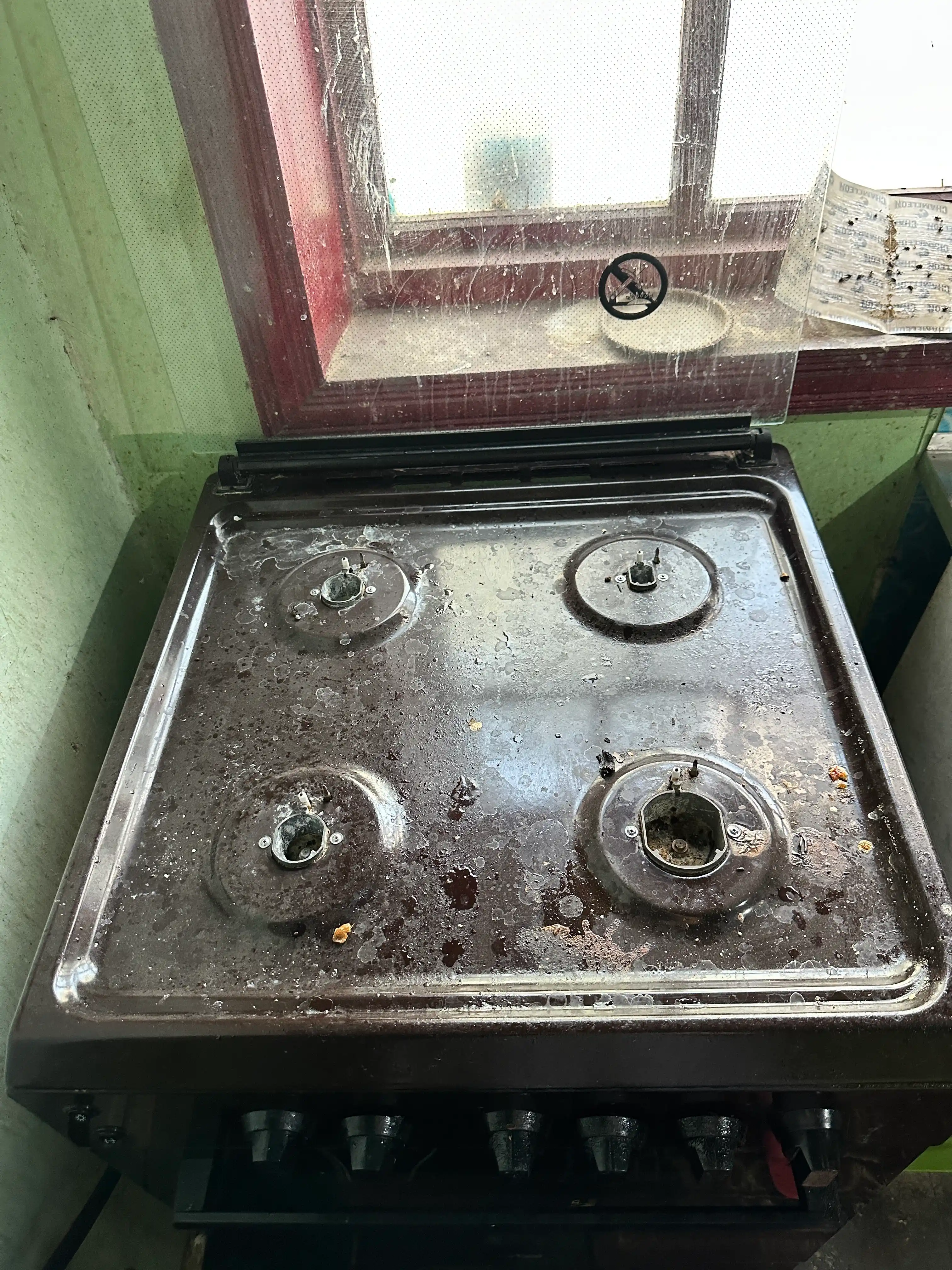 Пароочиститель для уборки дома