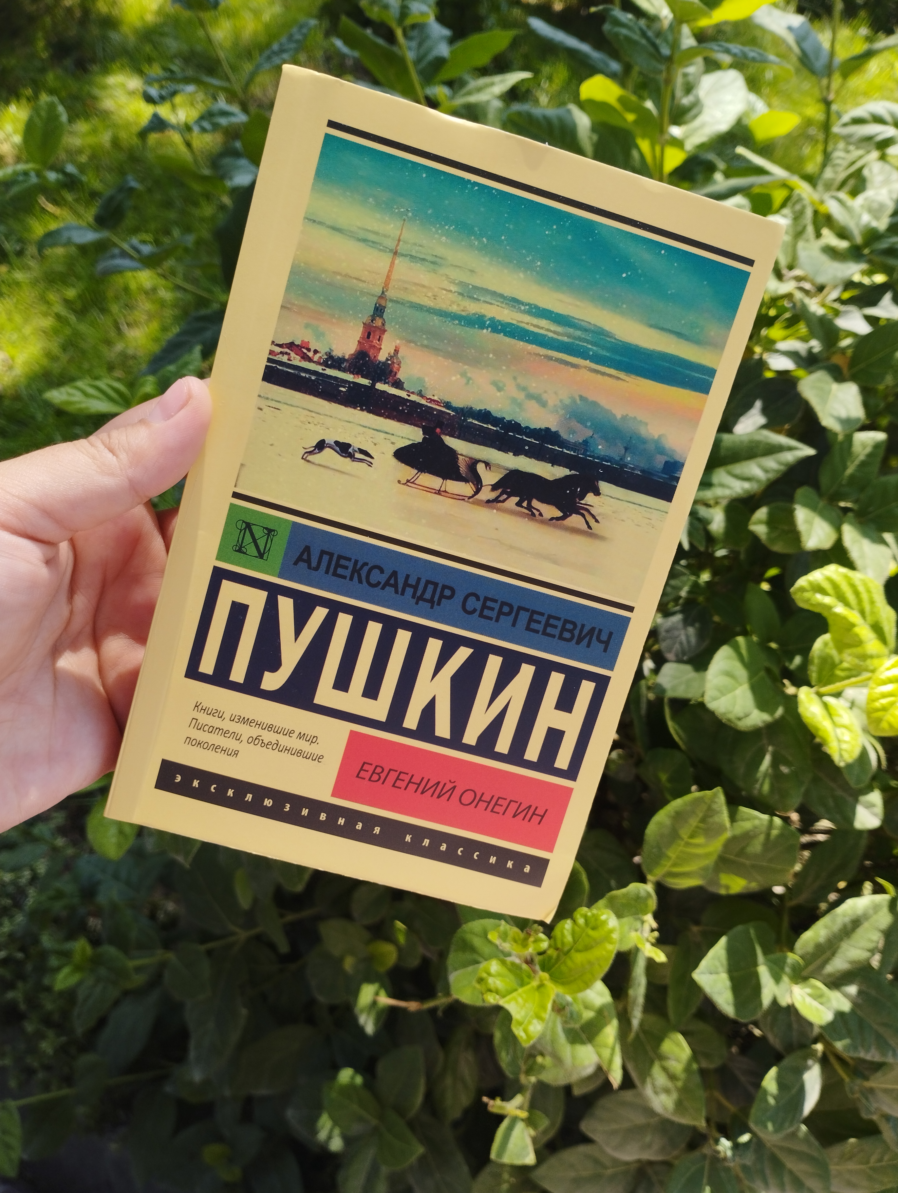 Евгений Онегин. Александр Сергеевич Пушкин