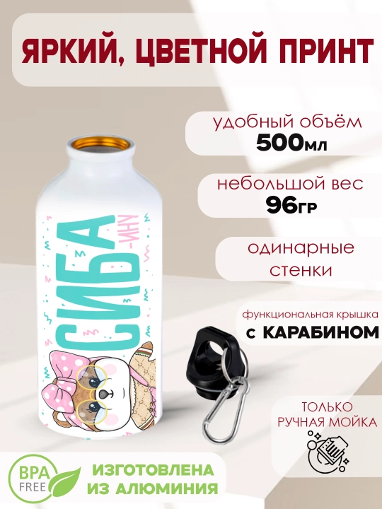 Xaggi Vaggi, Siba, Kuromi, Kissi Missi, Uensday suvi uchun metall shisha, 500 ml