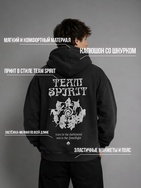 Худи Team Spirit, PRO KIT 25-26