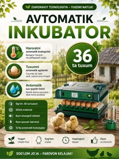 Зеленый