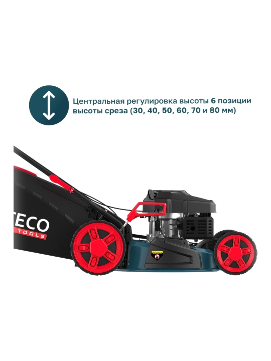 Benzinli o‘t o‘rgich LTECO GLM 55-51 MSQ
