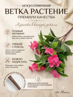 Fuksiya