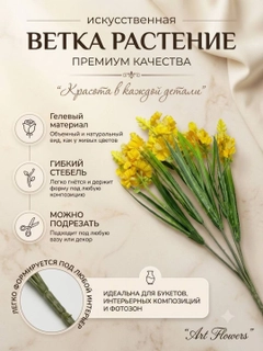 Xantal