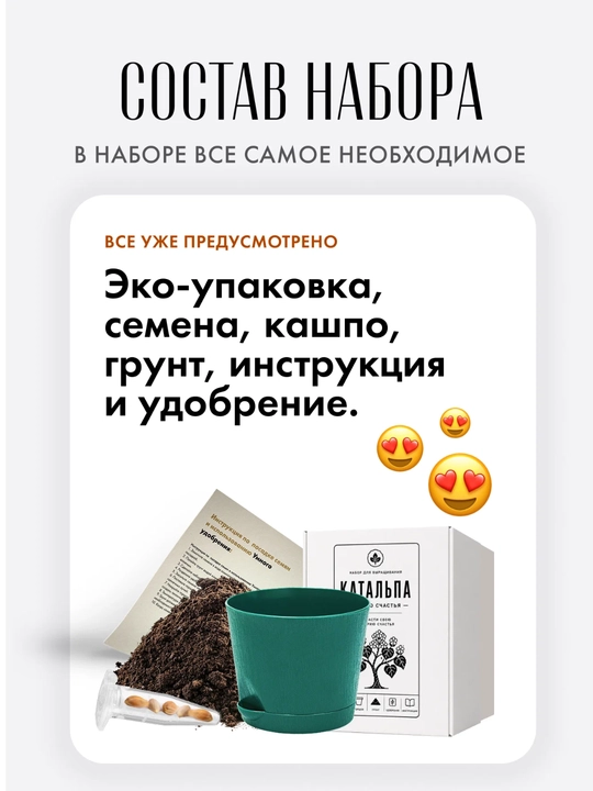 Baxt daraxtini o‘stirish to'plami Katalpa