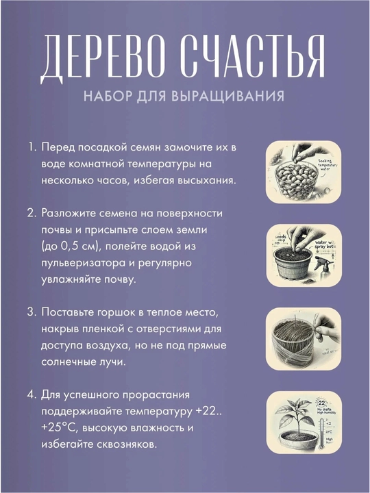 Baxt daraxtini o‘stirish to'plami Katalpa