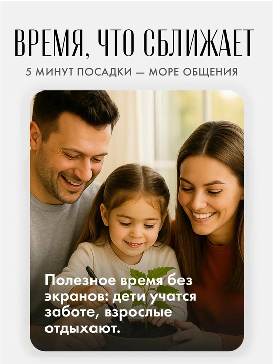 Baxt daraxtini o‘stirish to'plami Katalpa