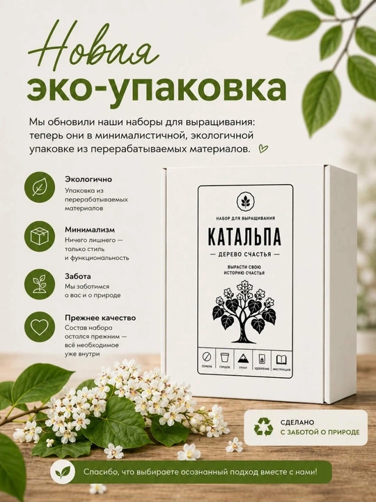 Baxt daraxtini o‘stirish to'plami Katalpa