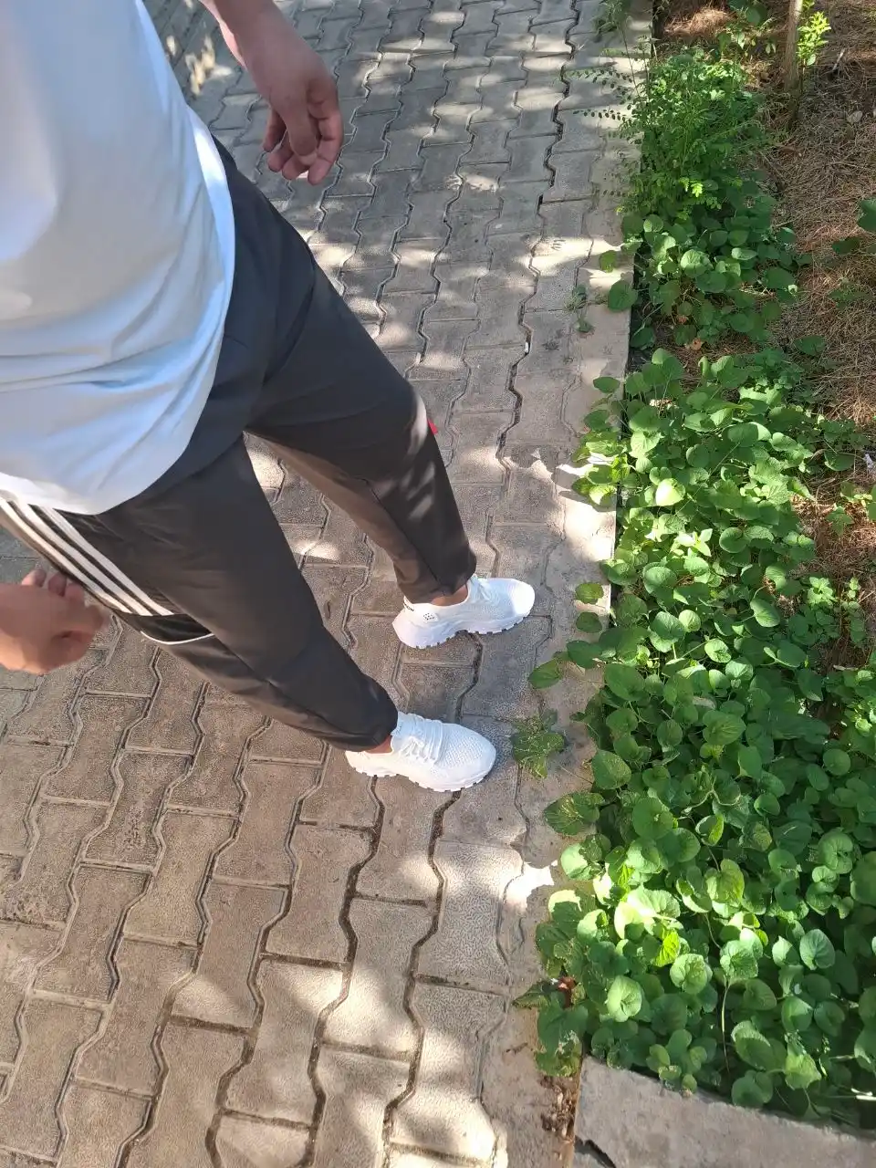 Erkaklar krossovkasi, zamonaviy yozgi krossovkalar, to‘rli havo o‘tkazuvchan sportivniy