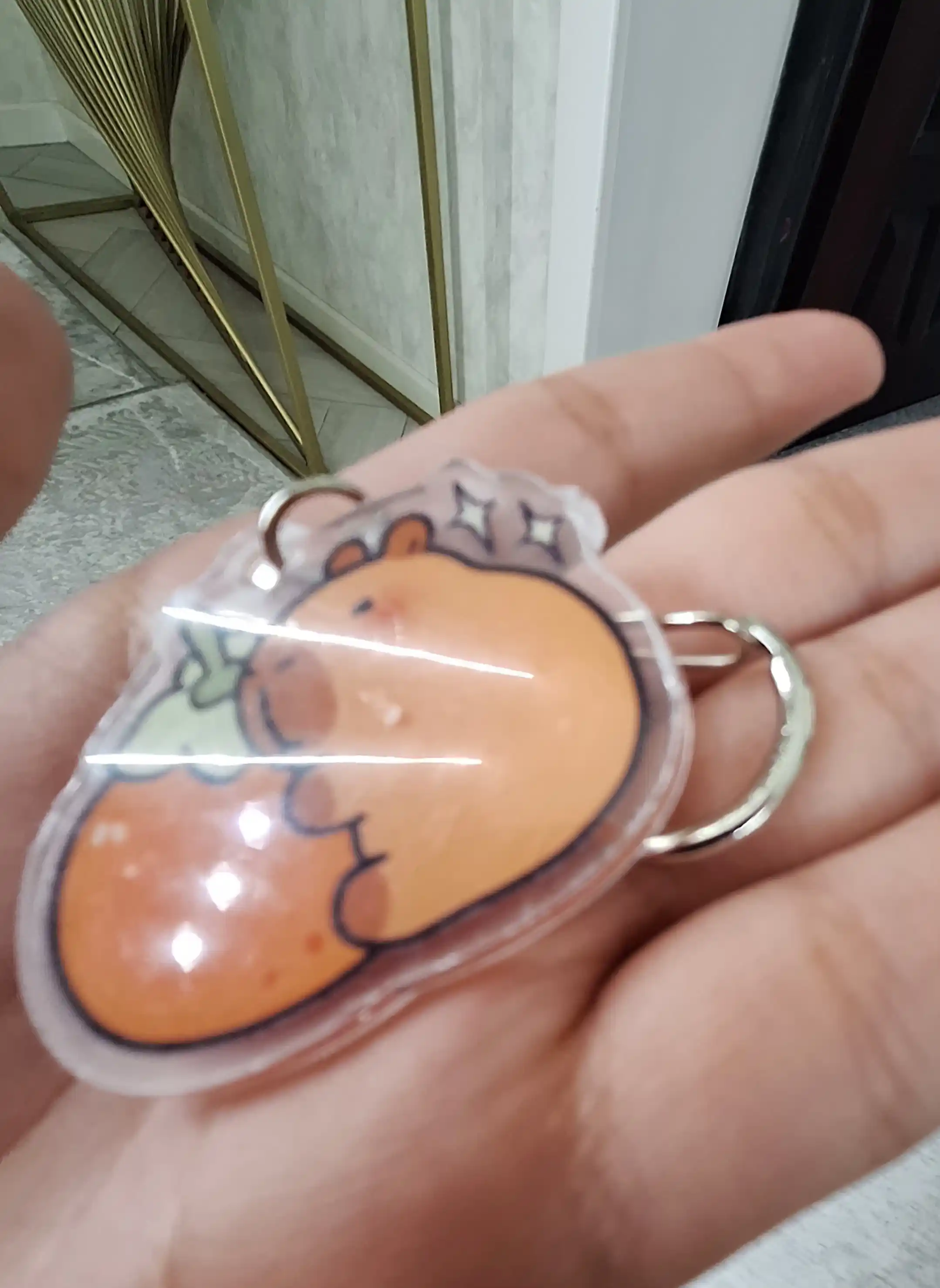 Kapibara sumka va kalitlari uchun yoqimli breloklar