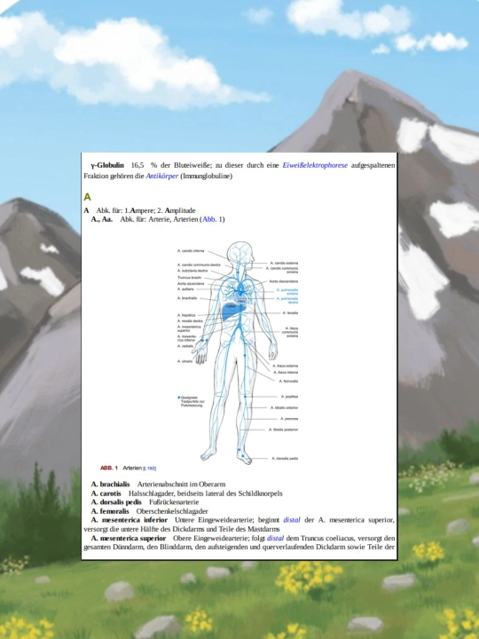 Medizinische Fachwörter von A–Z | Немецкий медицинский словарь без CD