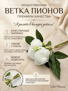 Terakota