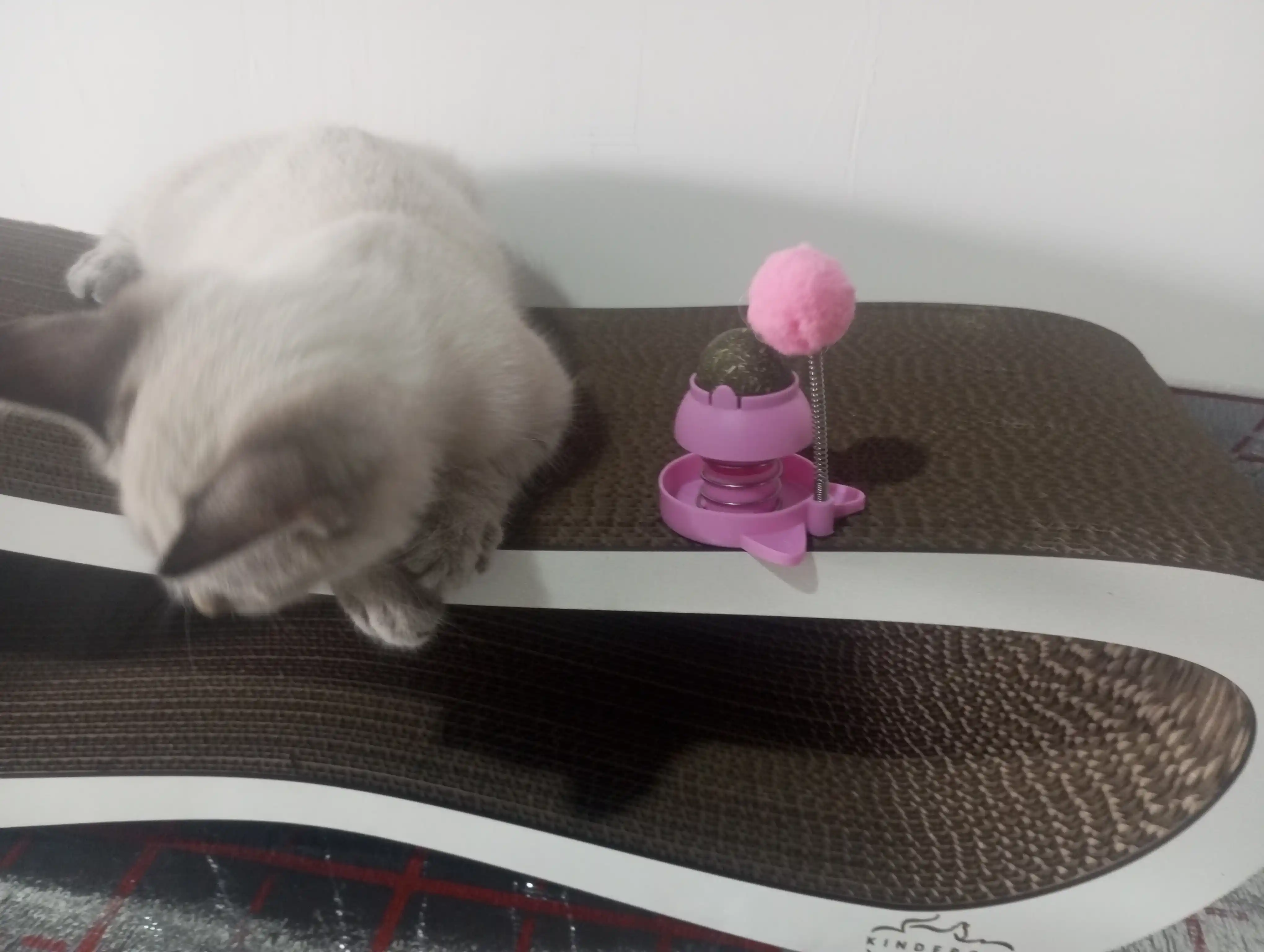 Игрушка для кошек с кошачьей мятой, интерактивная дразнилка помпон, мятный шарик на стену