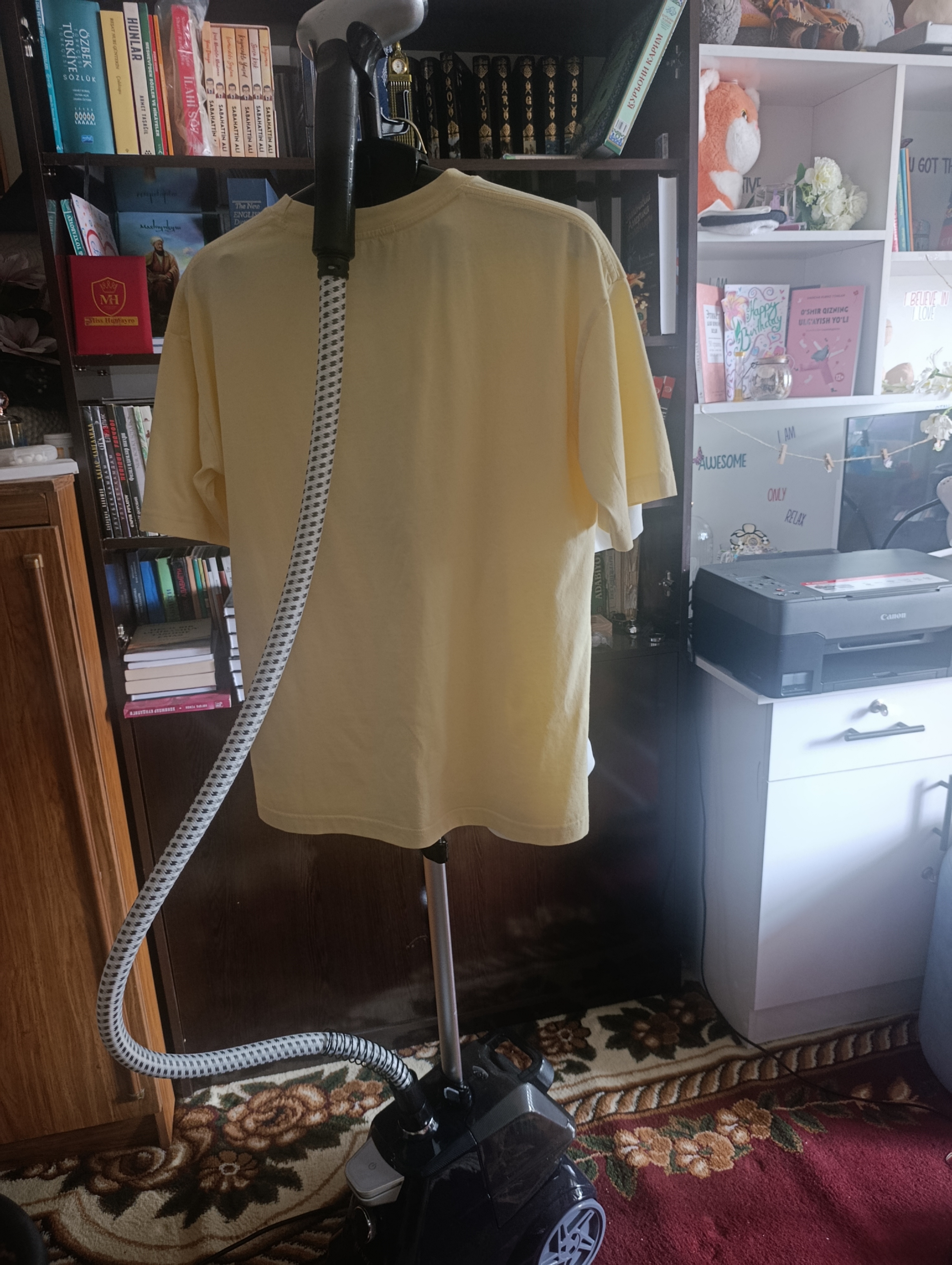 Профессиональный отпариватель для одежды Garment Steamer X3, 2200 Вт , 3л