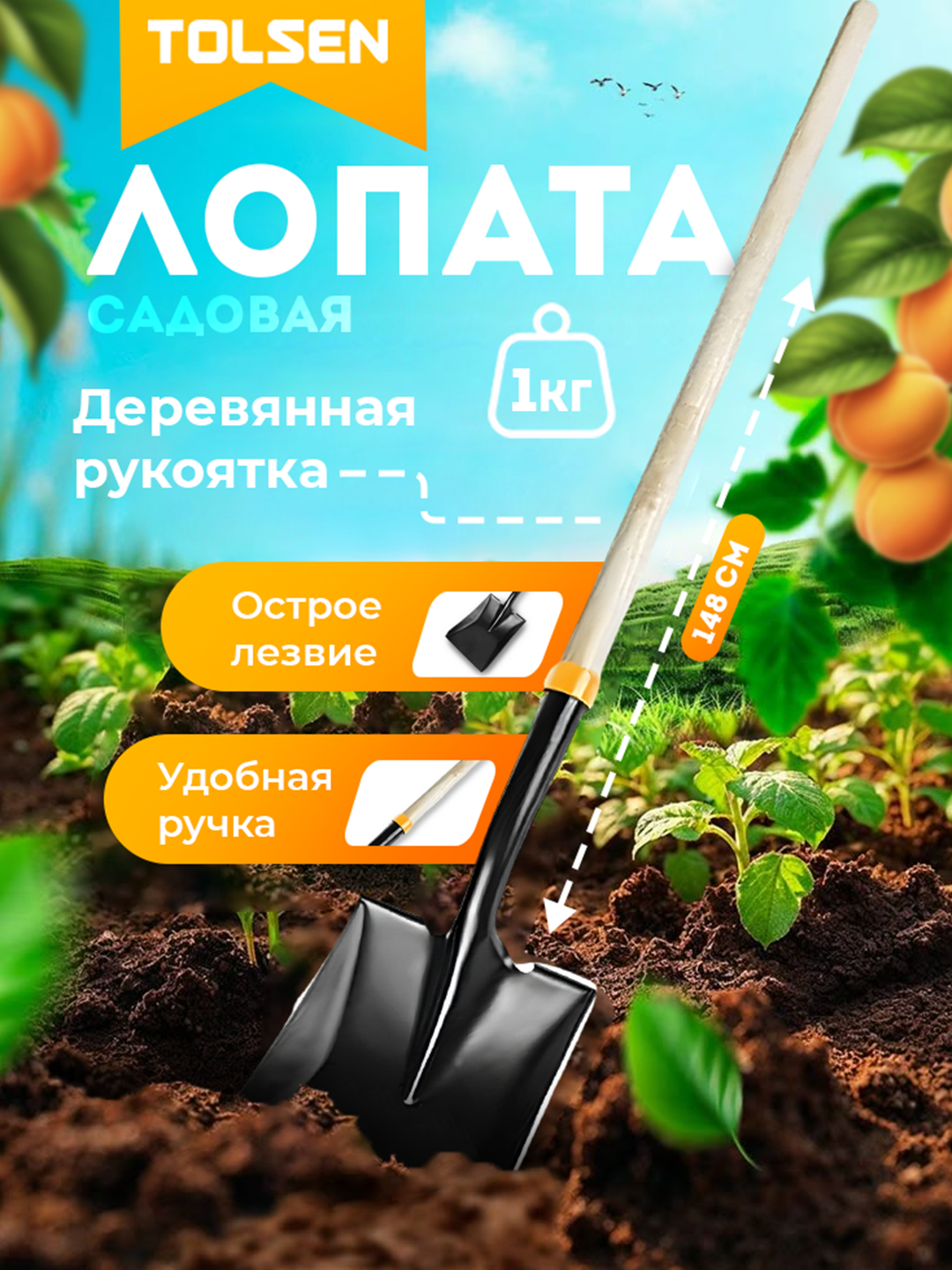 Лопата совковая, с черенком TOLSEN 58006 - 