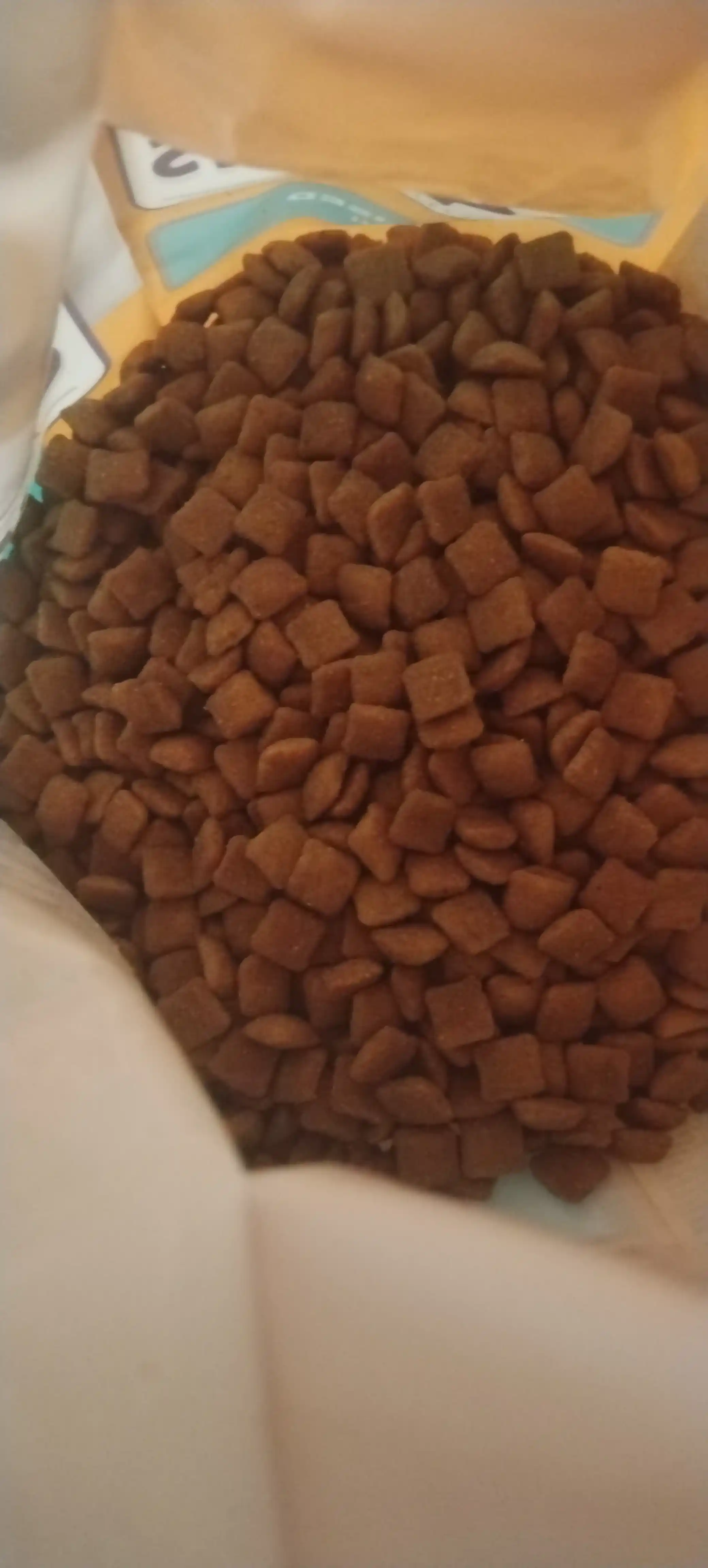 Club 4 Paws Sterilised mushuklar uchun quruq yem 2 kg