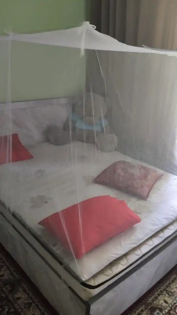 Pashshaxona va pashaxona, krovat uchun pashsha setka, oq rangli