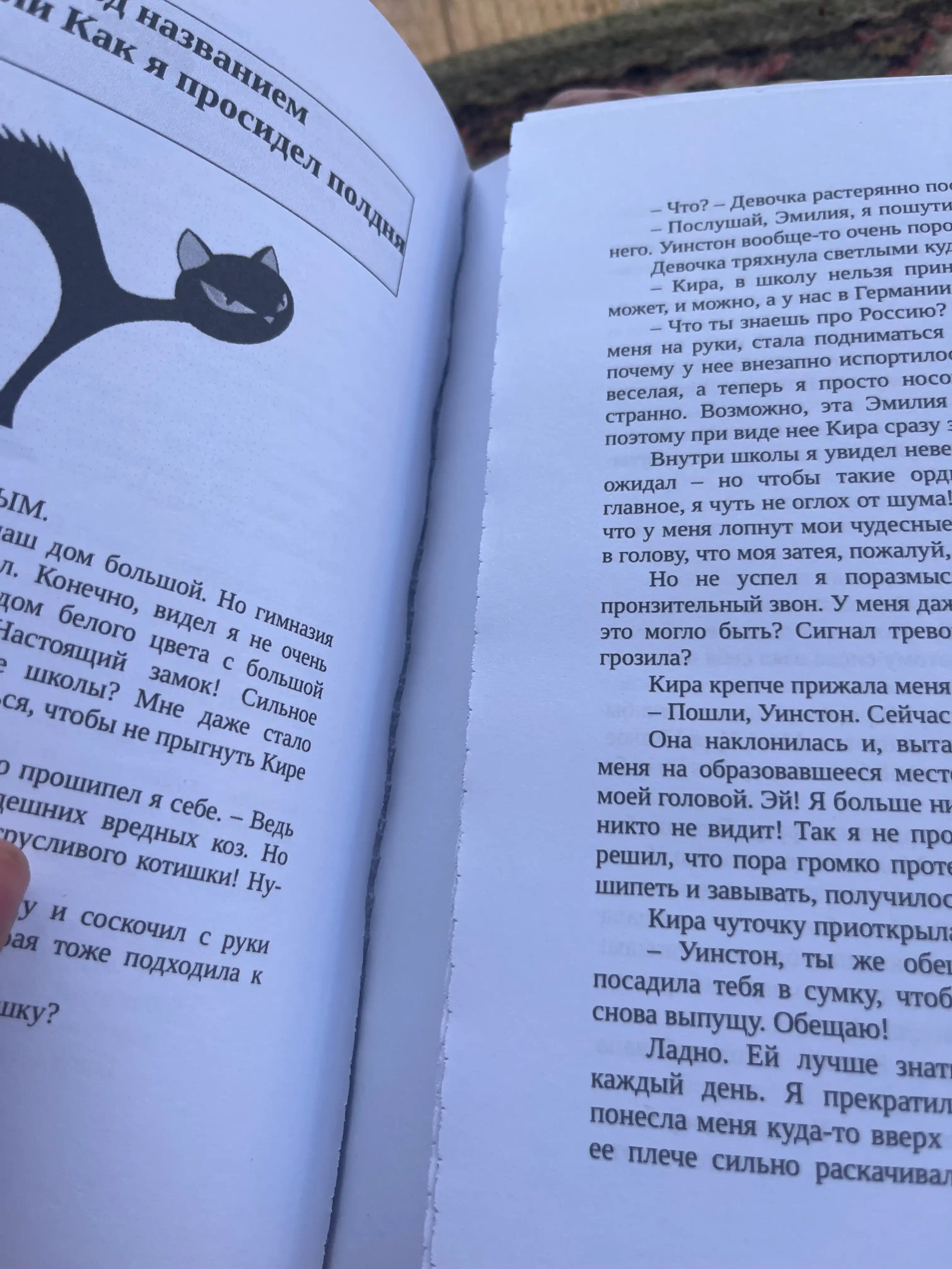 Фрауке Шойнеманн "Приключения кота-детектива"
