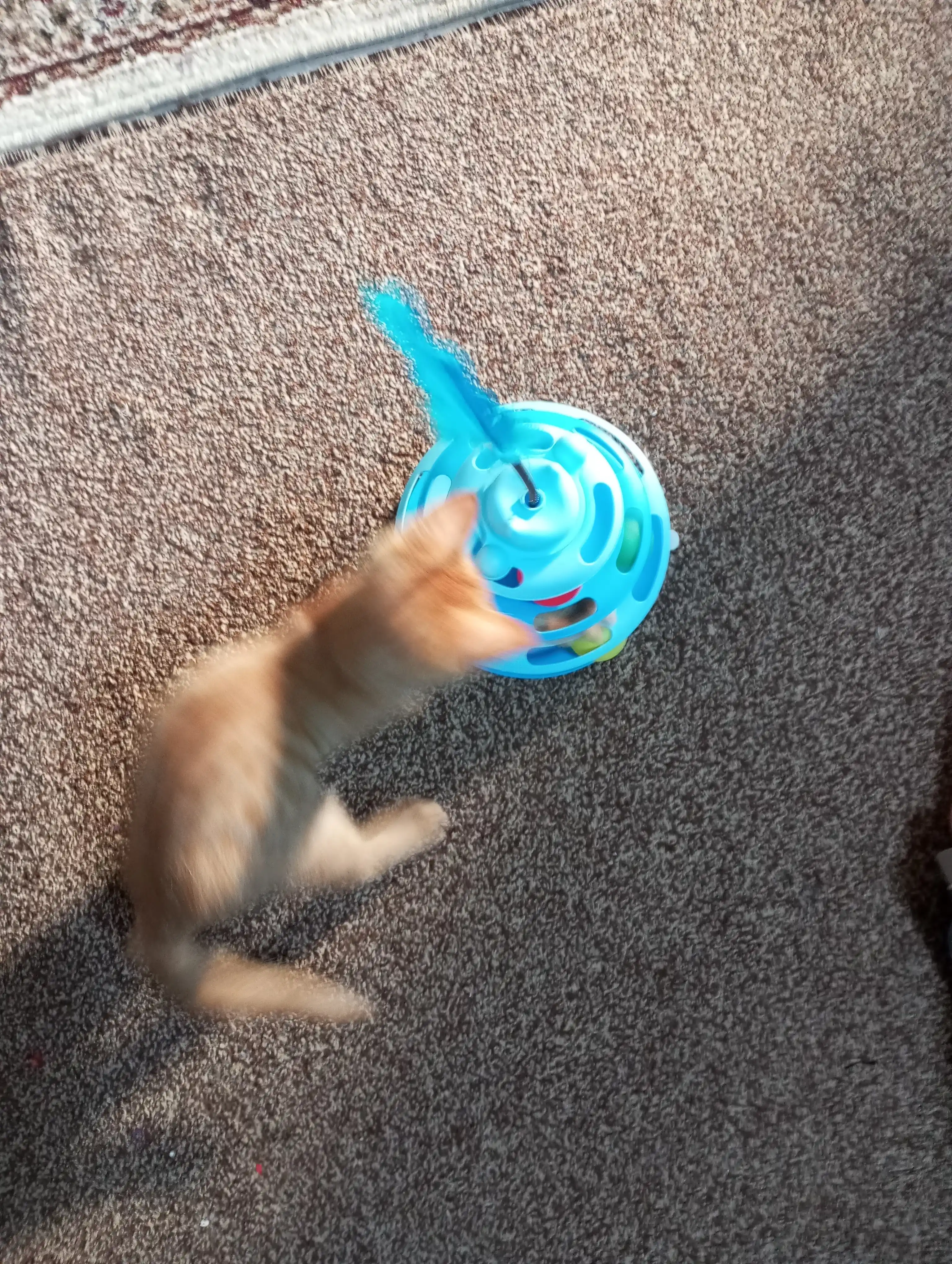 Игрушка для кота