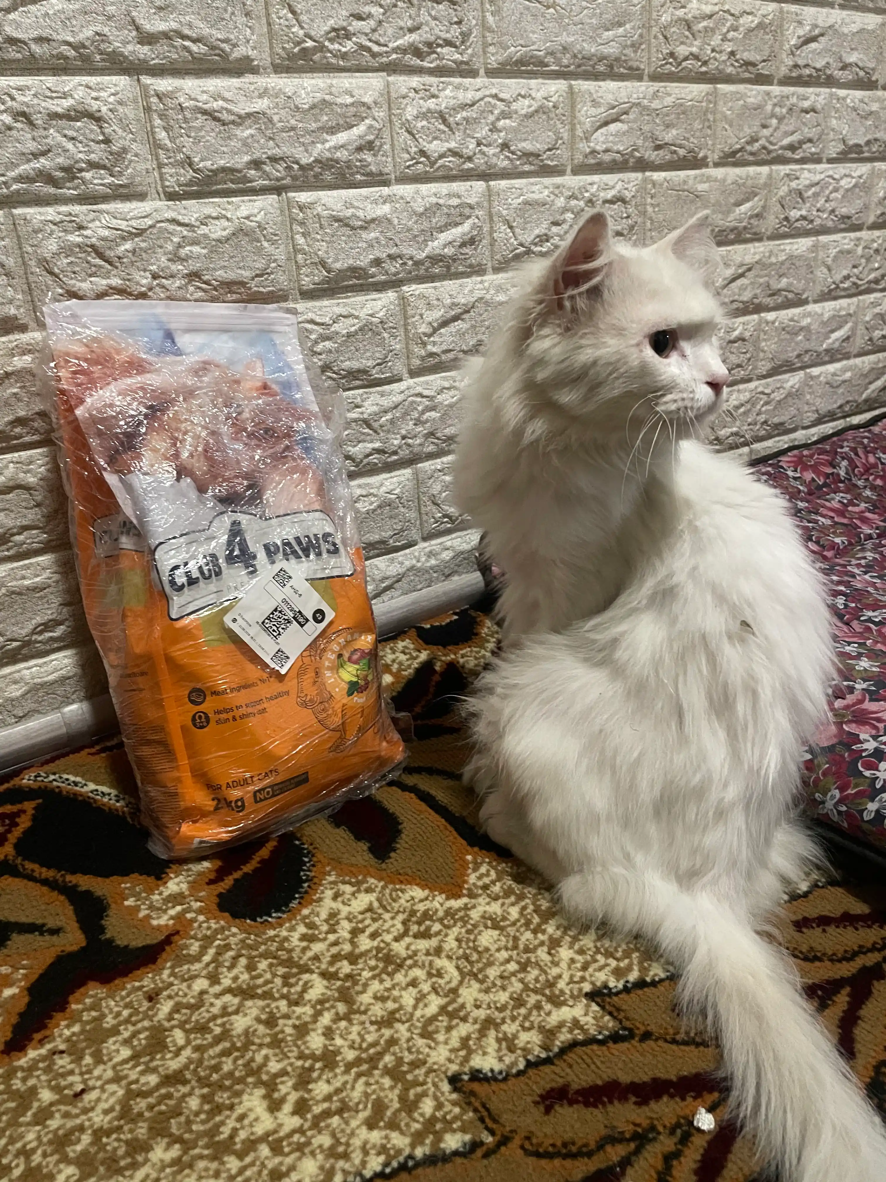 Club 4 Paws сухой корм для взрослых кошек, с кроликом, 2 кг