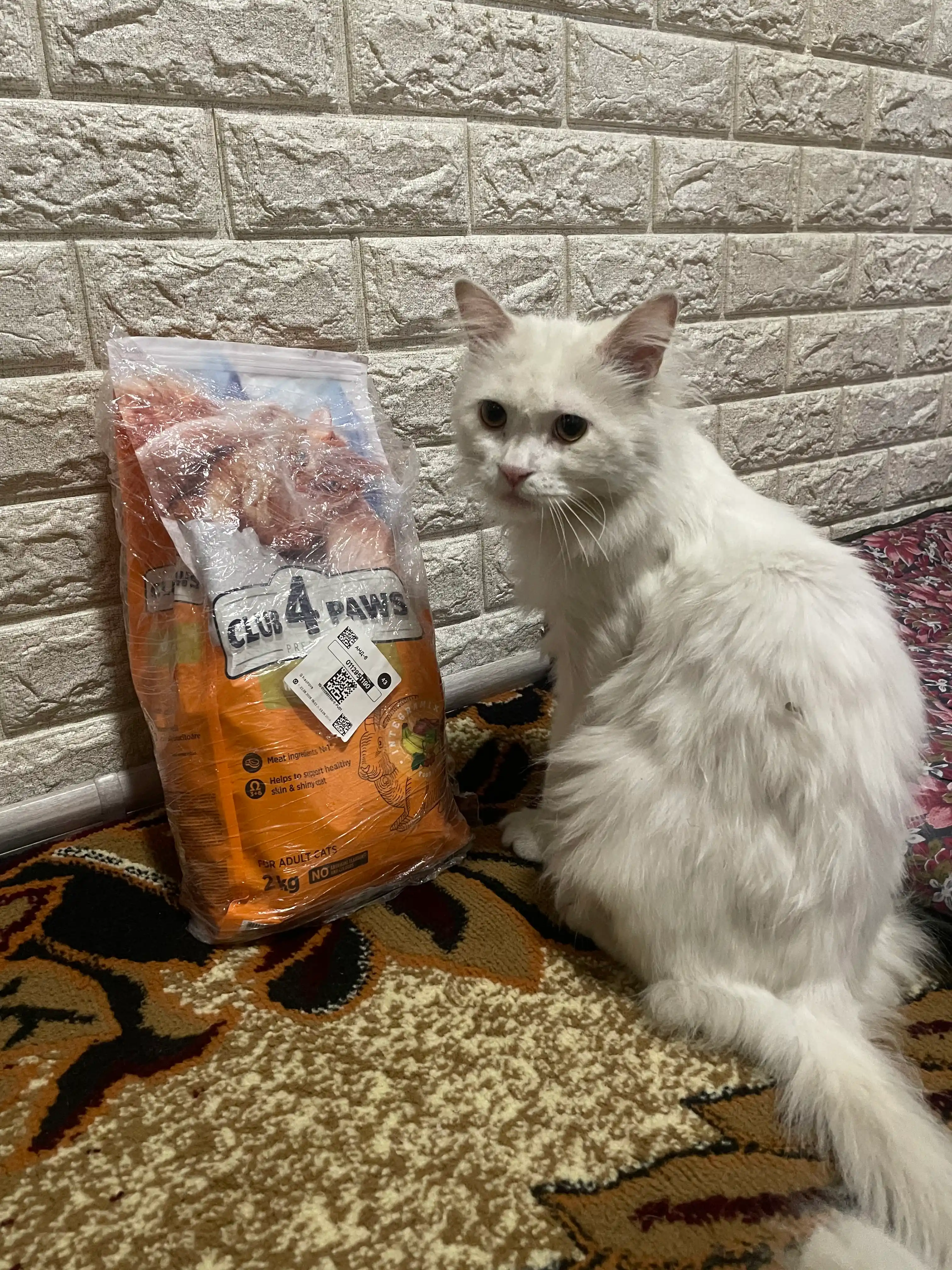 Club 4 Paws сухой корм для взрослых кошек, с кроликом, 2 кг