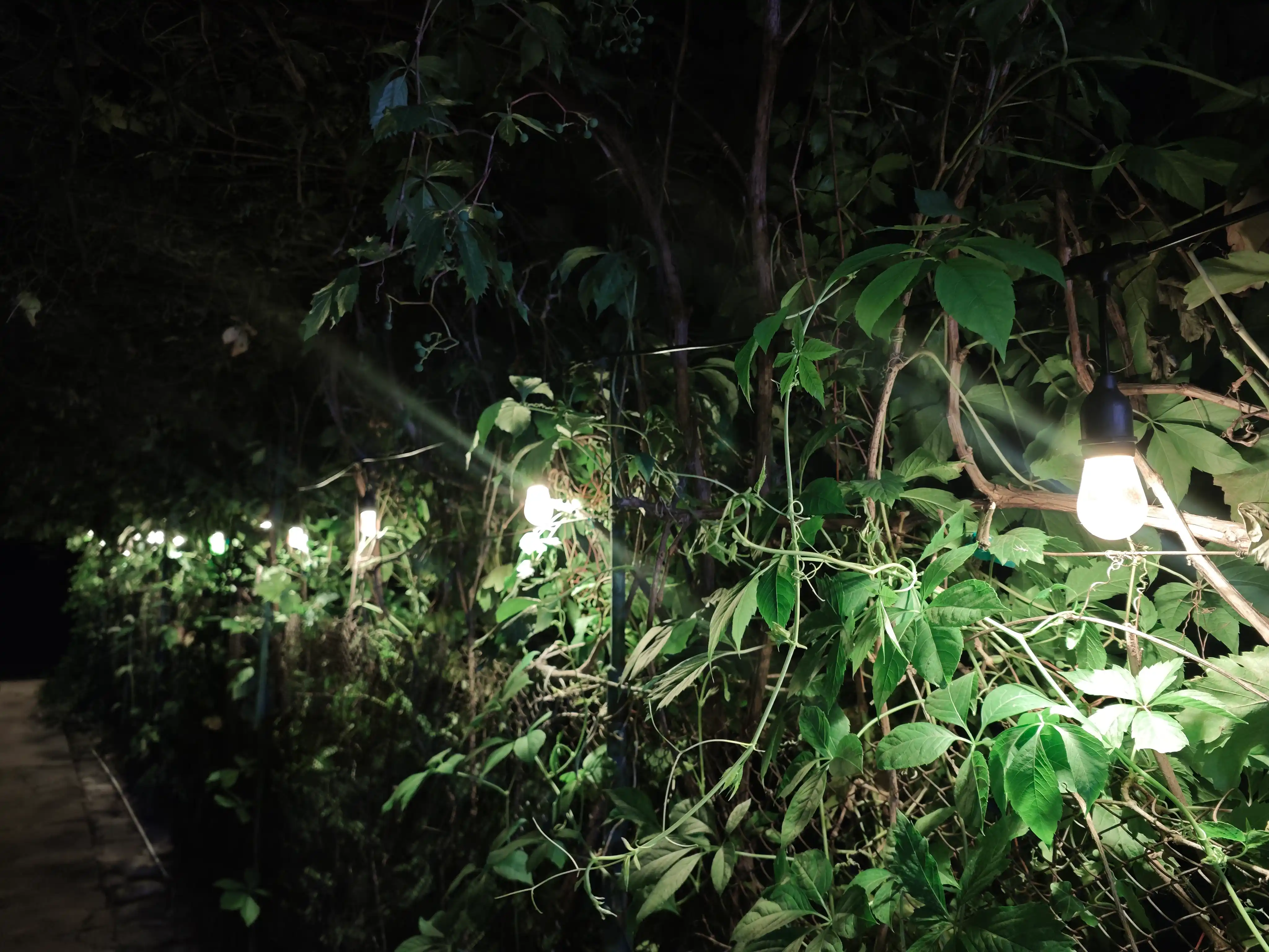 Tashqi girlyanda 10m 10 lamp 220V IP44 suvdan himoya lampali