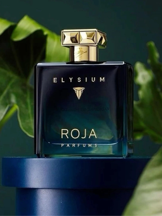 Roja Elysium мужской парфюм, 100 мл