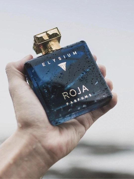 Roja Elysium мужской парфюм, 100 мл