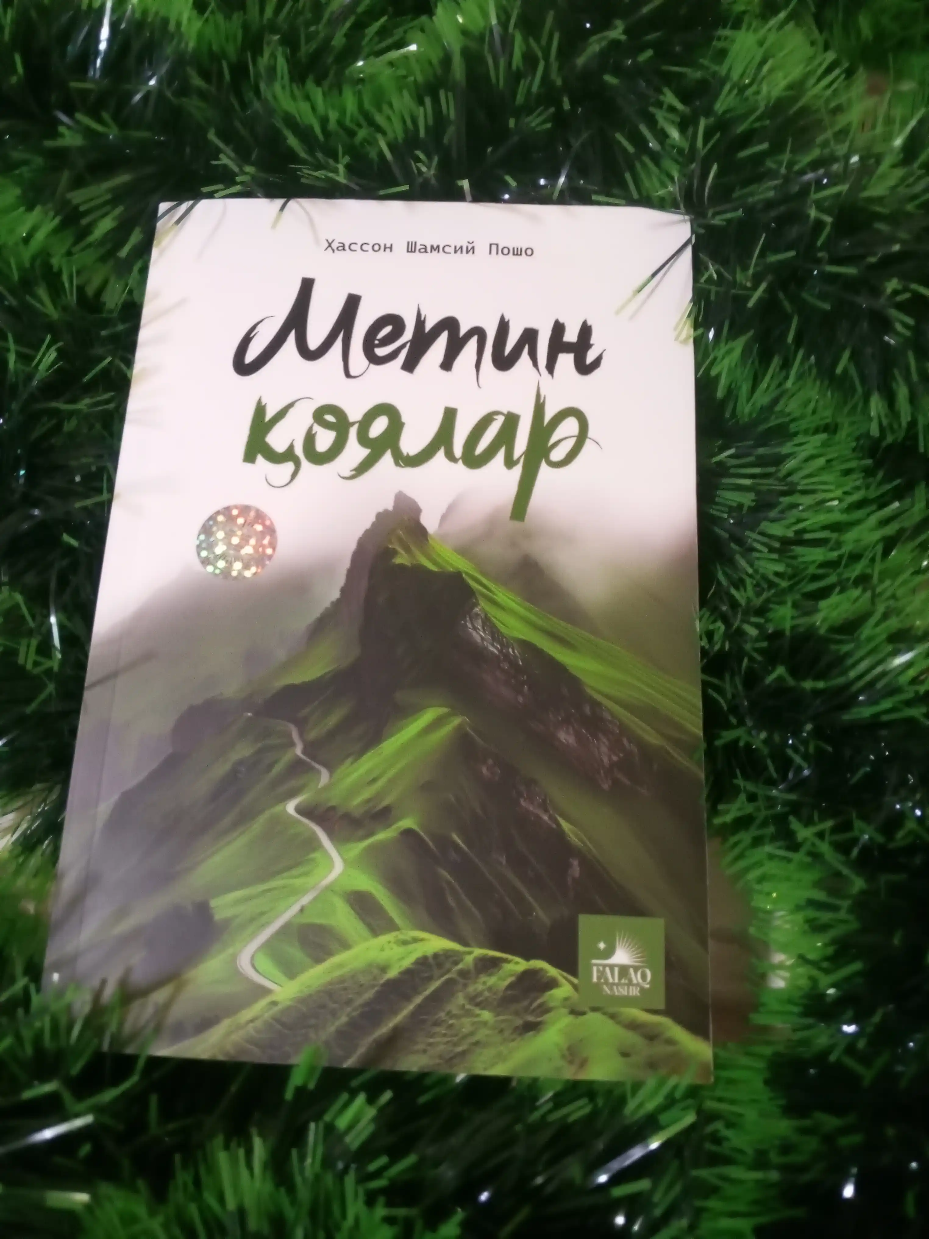 Метин коялар, Хассон Шамсий Пошо