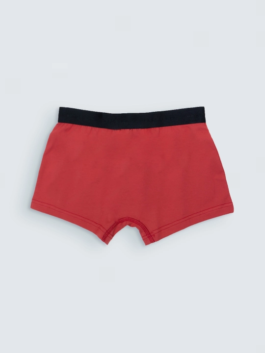 TERRA PRO Erkaklar ichki shimlari SS23NS4N-44-18802