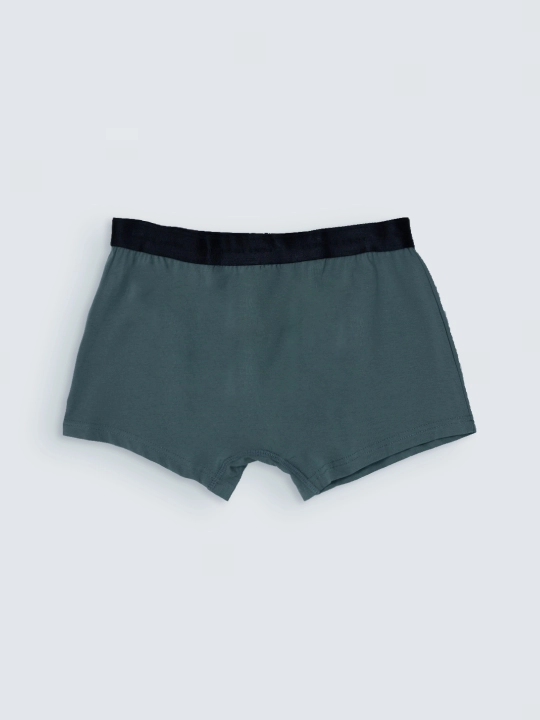TERRA PRO Erkaklar ichki shimlari SS23NS4N-44-18802