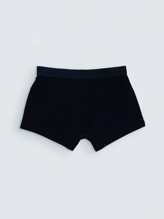 TERRA PRO erkaklar trusiklari paxta SS25BS4-44-21265