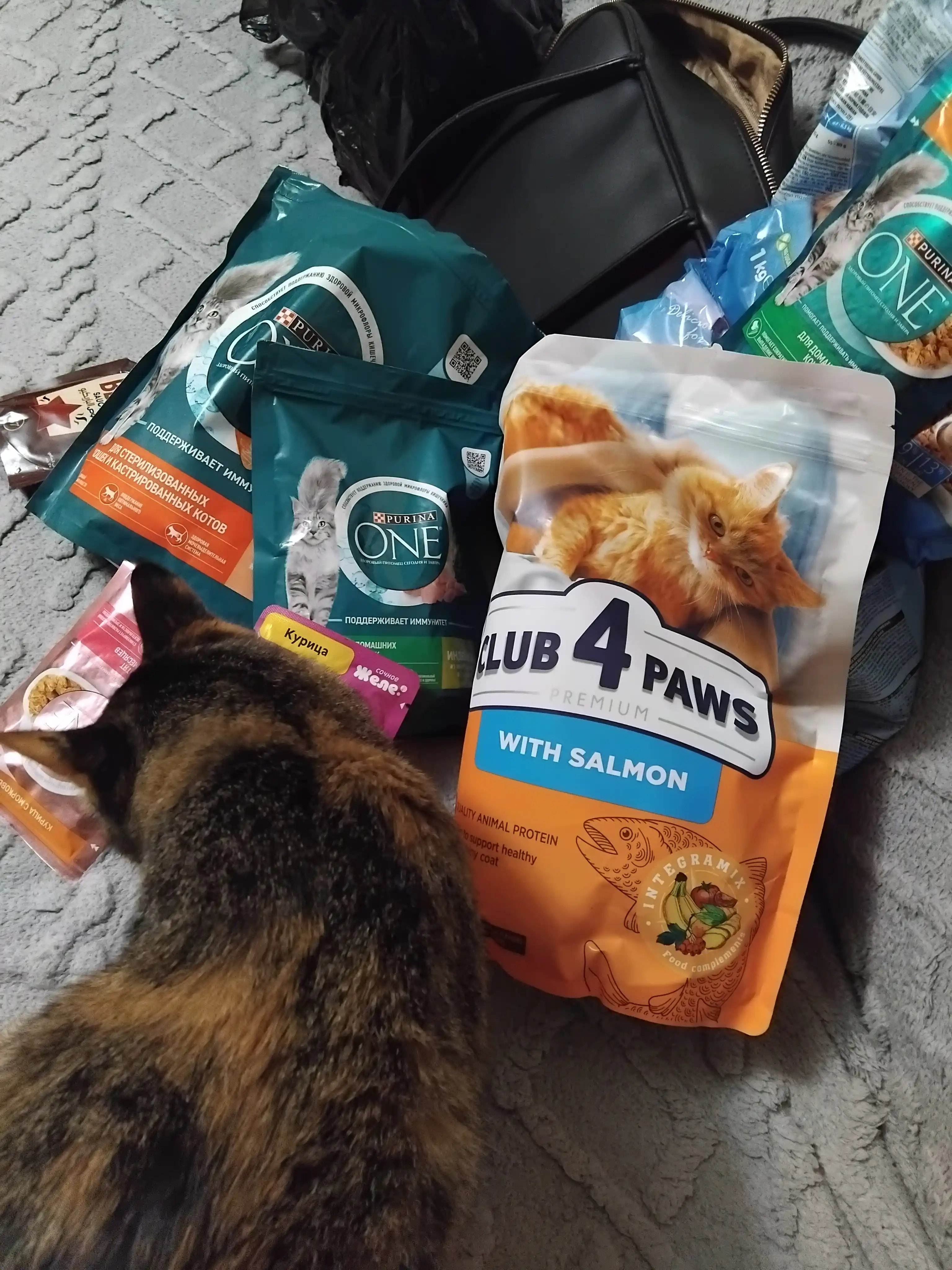Purina One Uy,  кatta mushuklar uchun kurka go‘shti qo‘shilgan quruq ozuqa, 200 g
