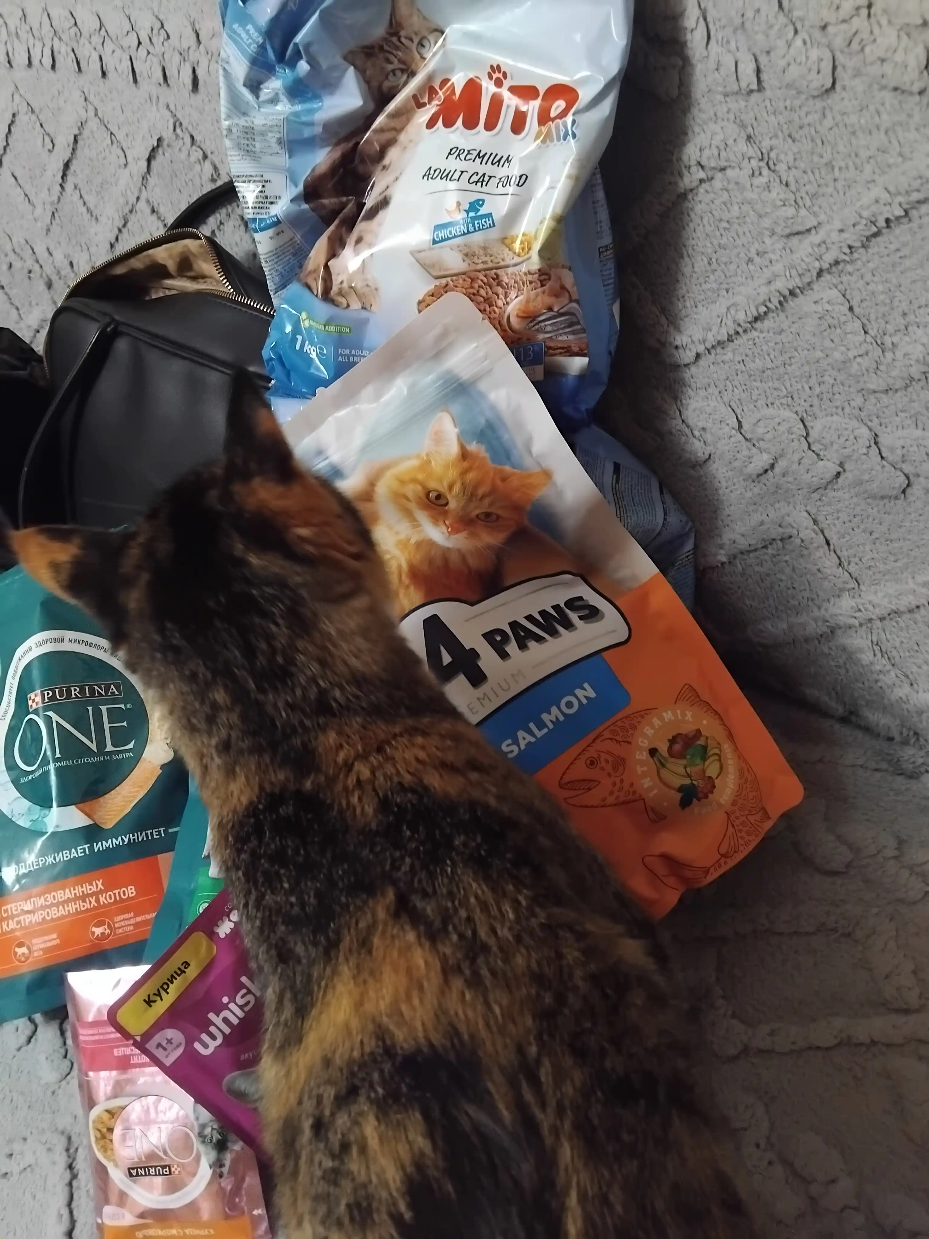 Club 4 Paws mushuklar uchun quruq yem, losos bilan, 900 g